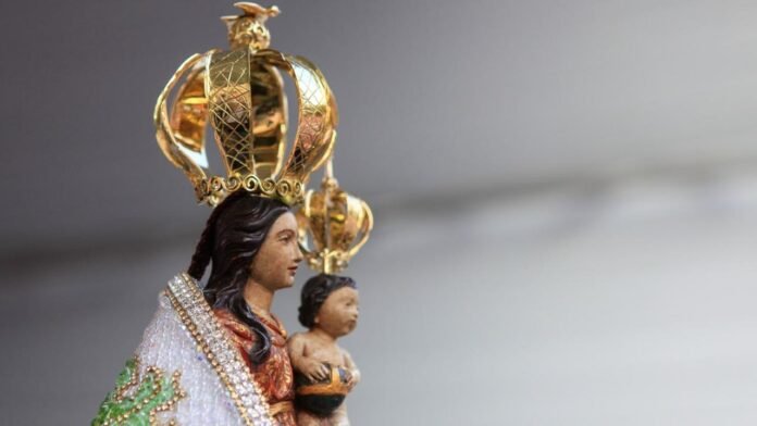 imagem-35