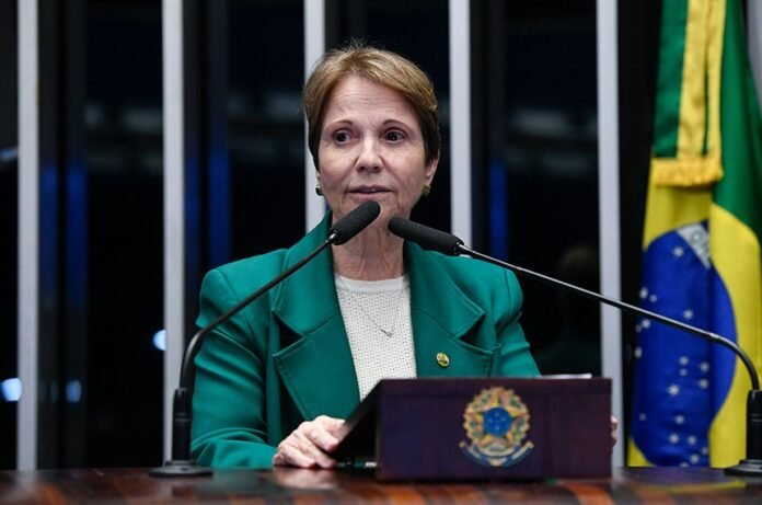 senadora-Tereza-Cristina.jpg