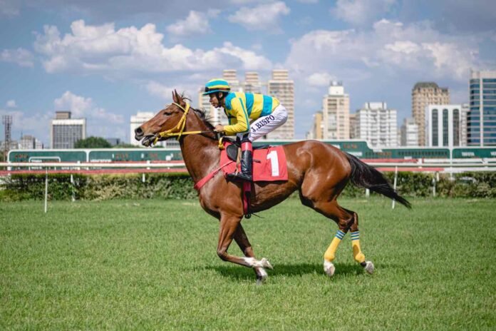 Acordo mantém corridas no Jockey de SP e prevê parque municipal