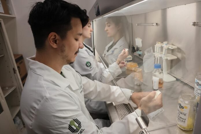 Renata-Katsuko-Takayama-Kobayashi-dermaser-gel-AndreRidao23102026-3-scaled.jpg
