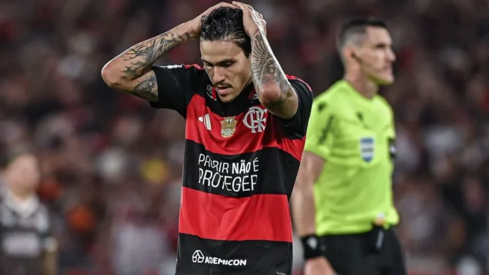 flamengo-1-1.webp